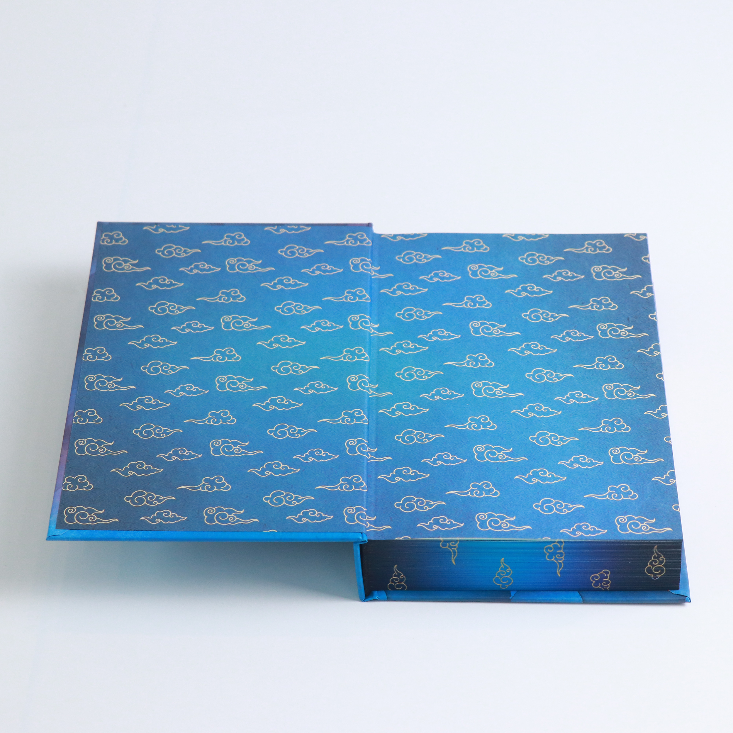Roar of the Sky by Calla Zae: Special Edition Hardcover Bundle