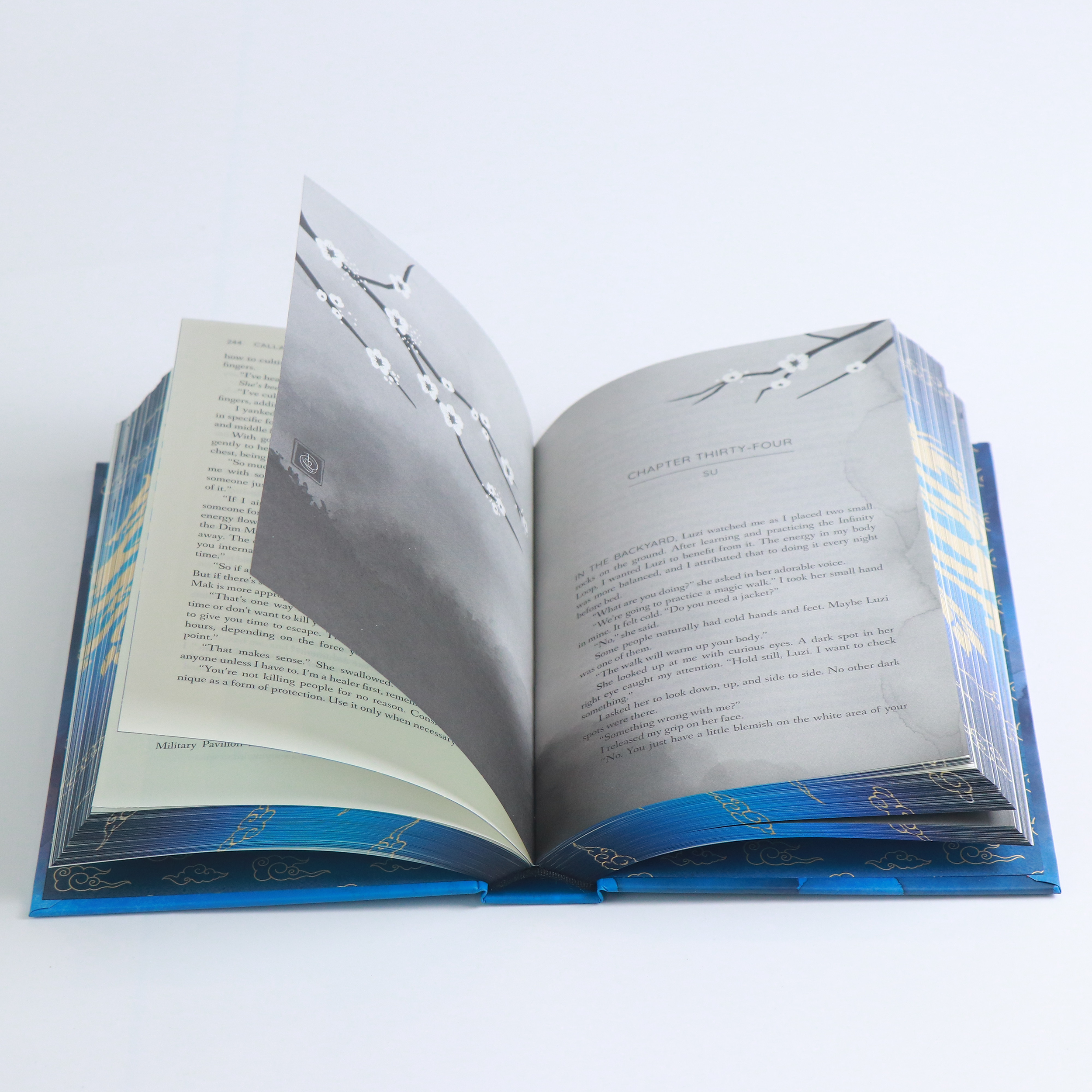Roar of the Sky by Calla Zae: Special Edition Hardcover Bundle